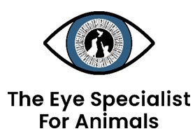 The Eye Specialist For Animals