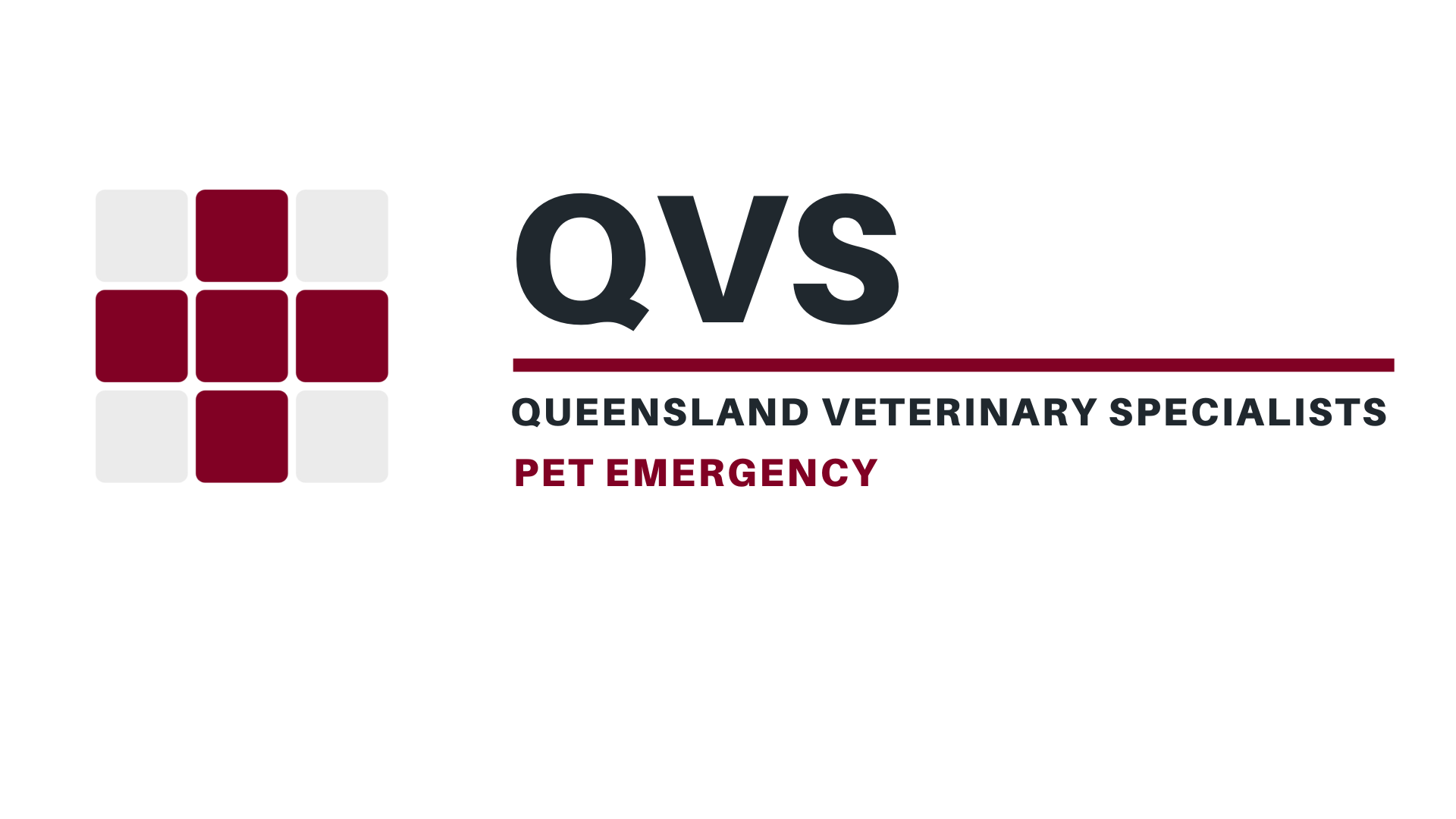 QVS Brand Logo V4 (3)