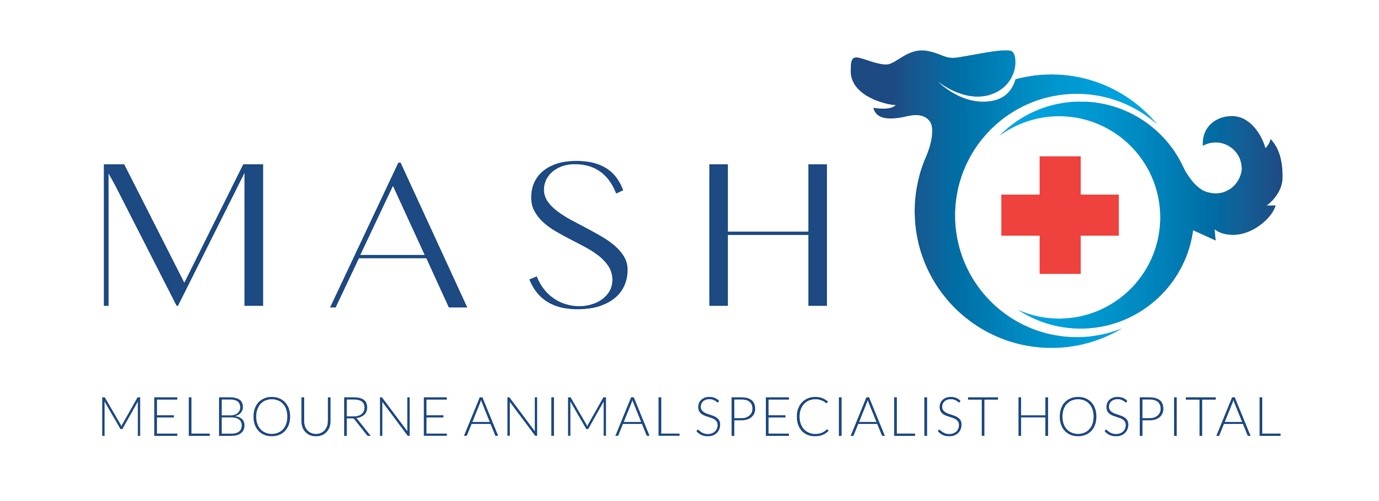 MASH Logo