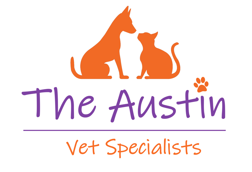 The Austin Vet