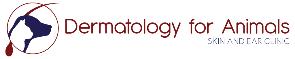 Dermatology For Animals