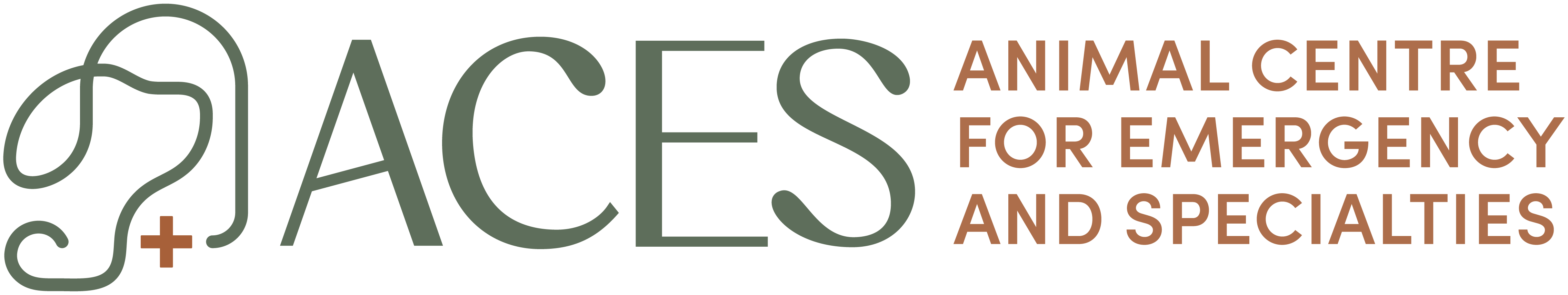 ACES Logo Horizontal Expanded Primary RGB