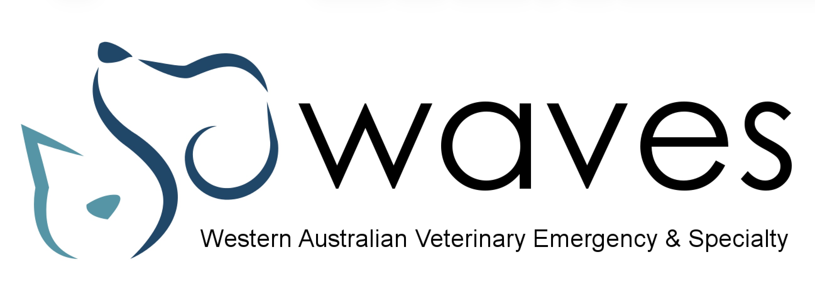 Logo WAVES