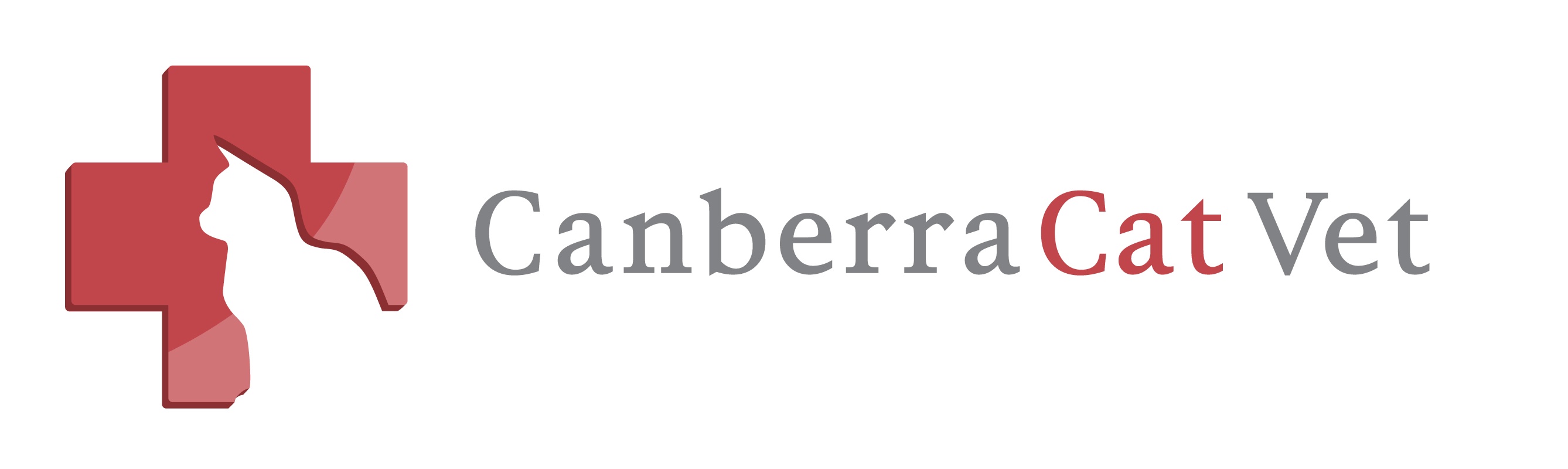 CCV Logo Icon+Name